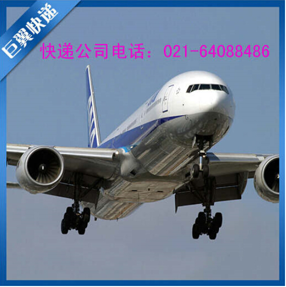選擇我、就是邁向成功，TNT上海直飛國際貨運！